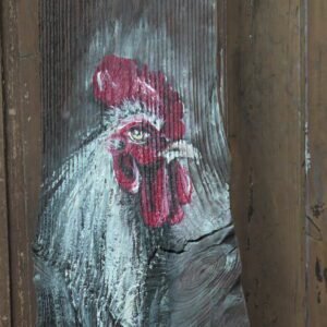 58 - Obraz Na Desce (Kogut)