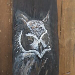 60 - Obraz Na Desce (Sowa)