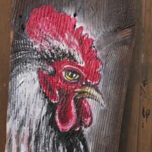 62 Kogut na starej desce