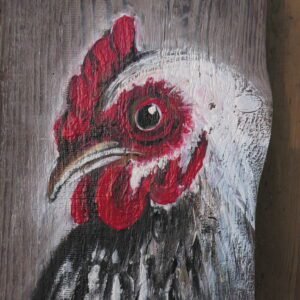 63 Kura na starej desce