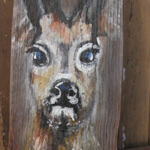 66 Jelonek na starej desce.