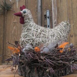 80 Kura na gnieździe.